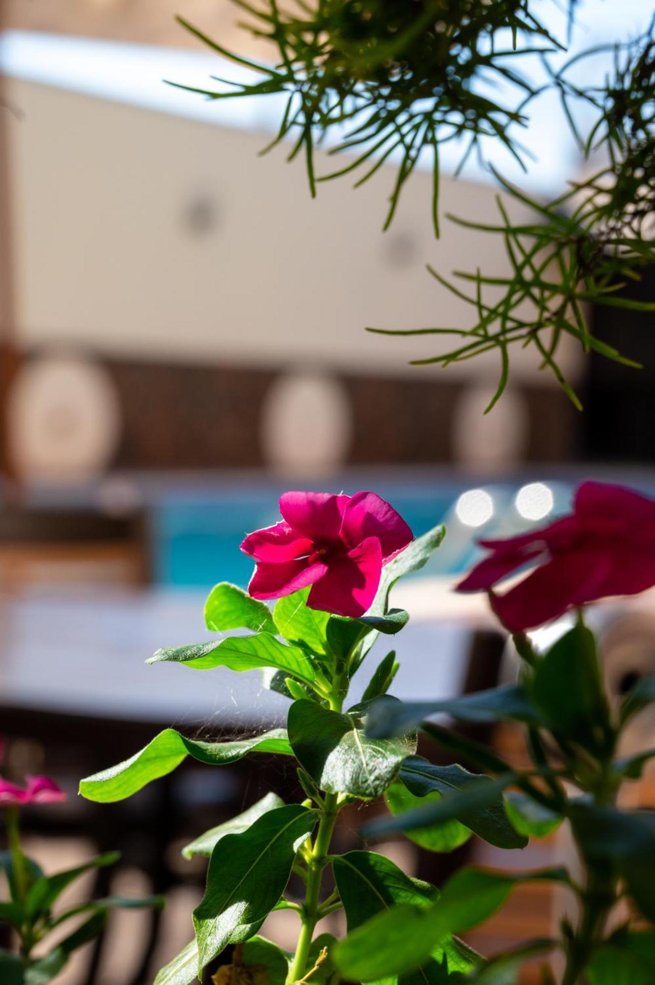 Hotel 365 Cuiaba  Exterior photo